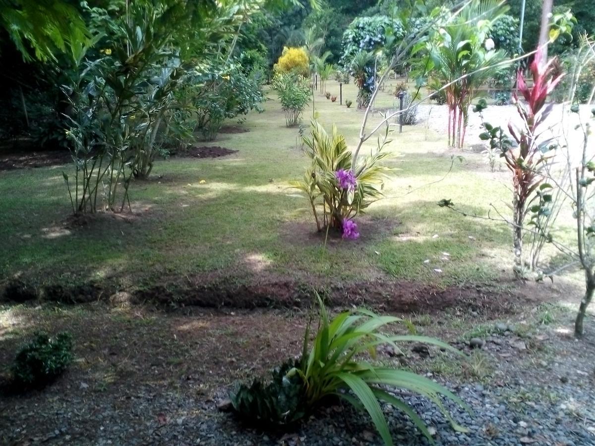 Puerto Vargas Lodge Cahuita Ngoại thất bức ảnh